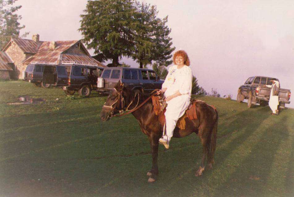 janonhorse janonhorse